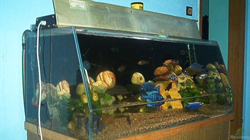 Aquarium Becken 615 von Dominic Moritz (4)