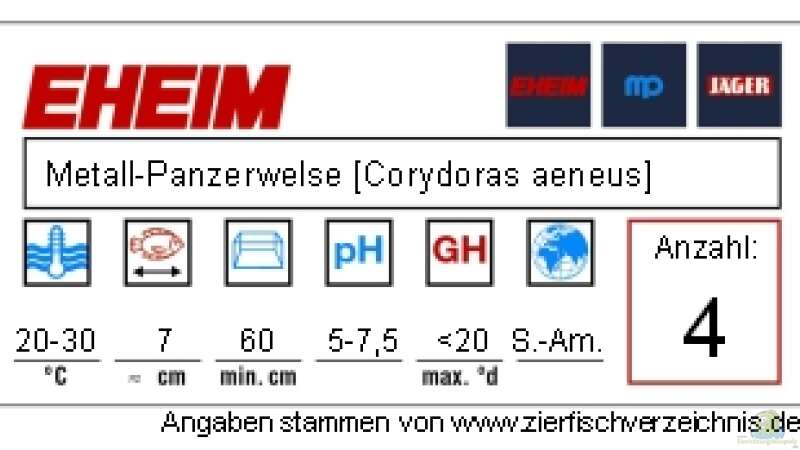 Typenschild der Metall-Panzerwelse von Ken M. (2)