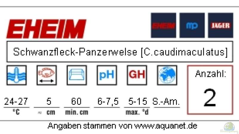 Typenschild der Schwanzfleck-Panzerwelse von Ken M. (3)