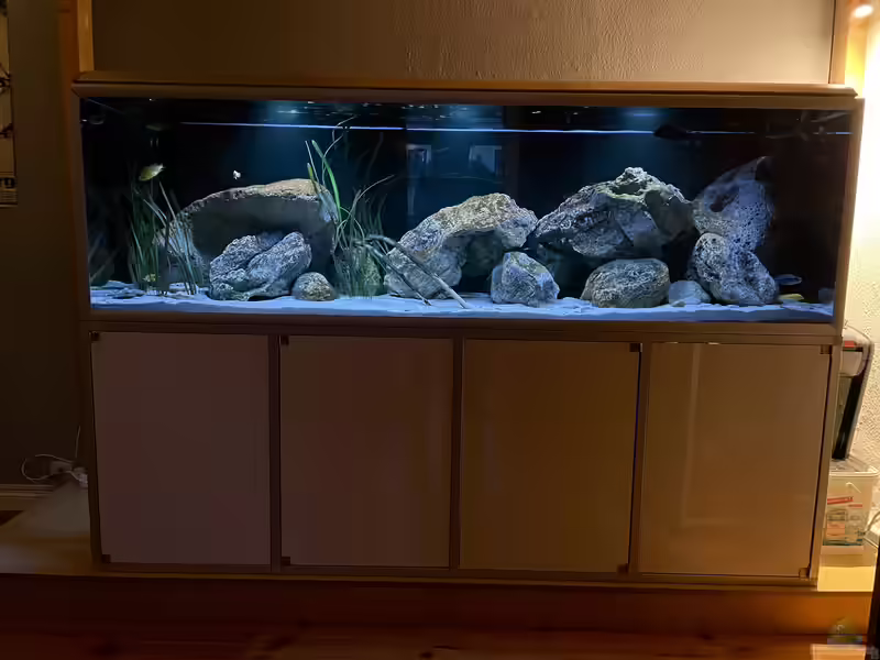 Standardaquarien mit 720 Litern Volumen