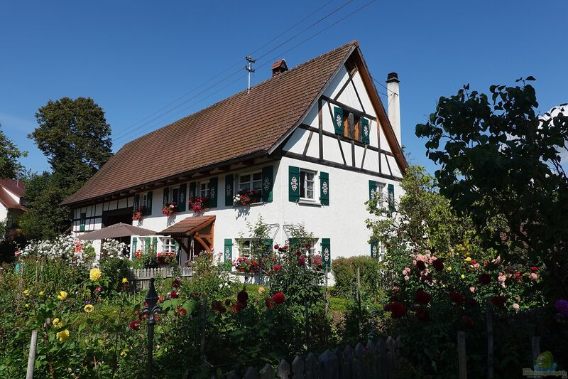 Der Bauerngarten (Einrichtungsbeispiele für Bauerngärten)