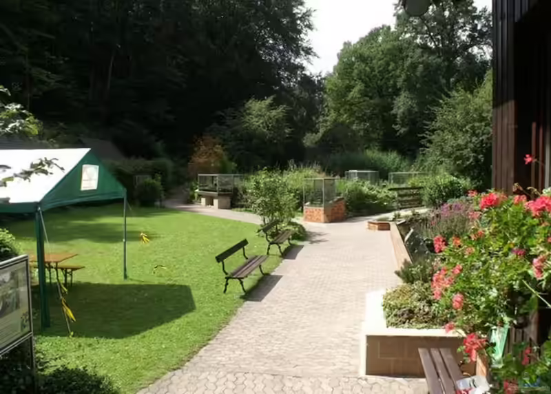 Ein Freilandterrarium einrichten (Einrichtungsbeispiele für Freilandterrarium)