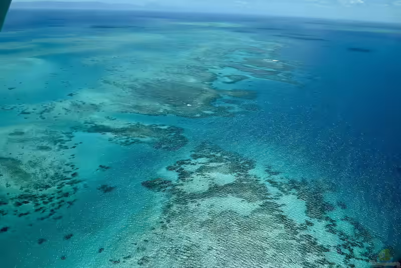 Das Great Barrier Reef (Einrichtungsbeispiele nach Vorbild des Great Barrier Reef)