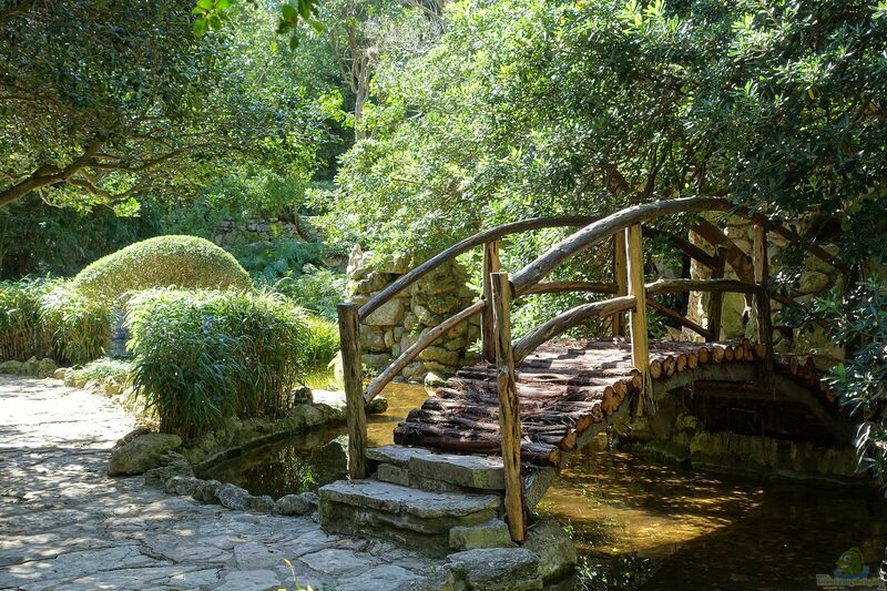 Der Japanische Garten (Einrichtungsbeispiele für Japanischer Gärten)