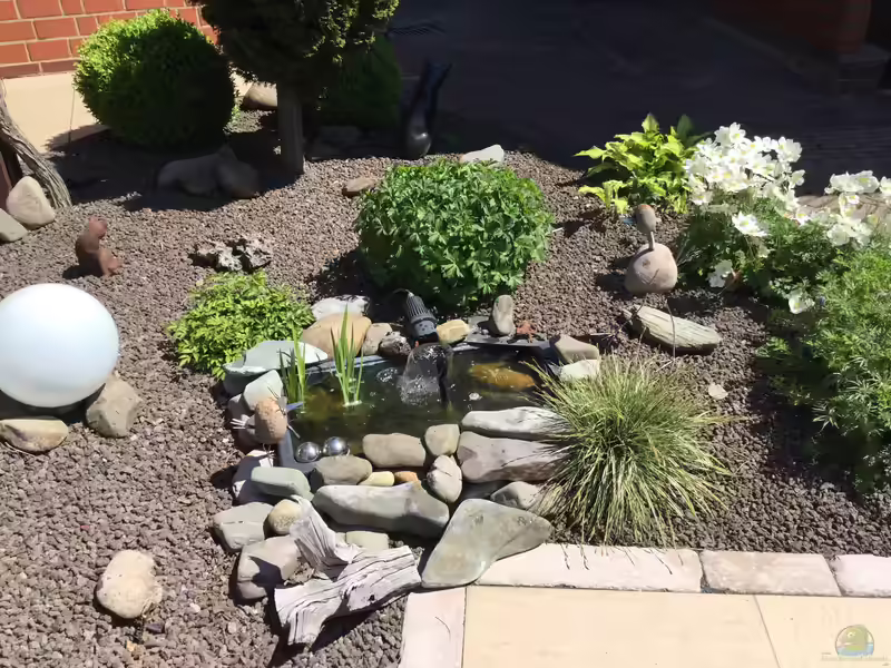 Einrichtungsbeispiele für Kunststoffteiche (Einen Kunststoffteich anlegen und gestalten)