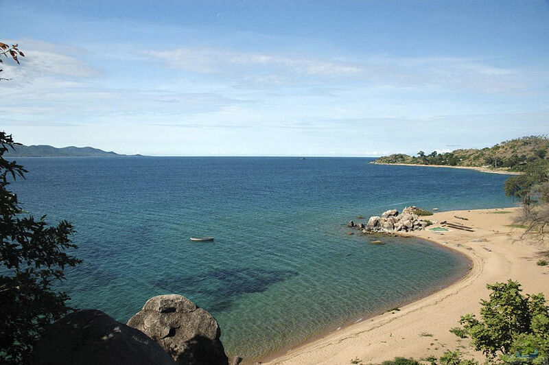 Die Insel Likoma im Malawisee(Einrichtungsbeispiele mit Buntbarschen von Likoma)