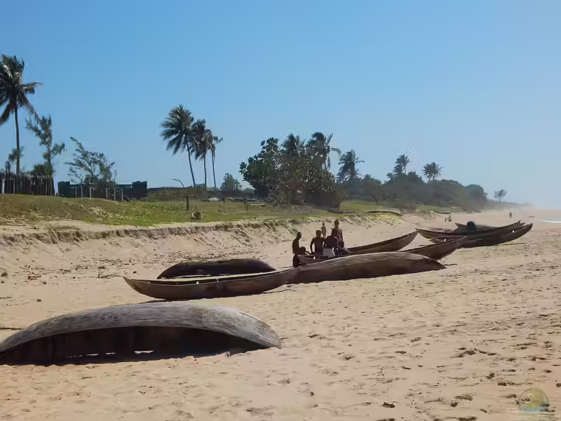 Die Insel Madagaskar (Einrichtungsbeispiele mit Zierfischen und Terrariumtieren aus Madagaskar)