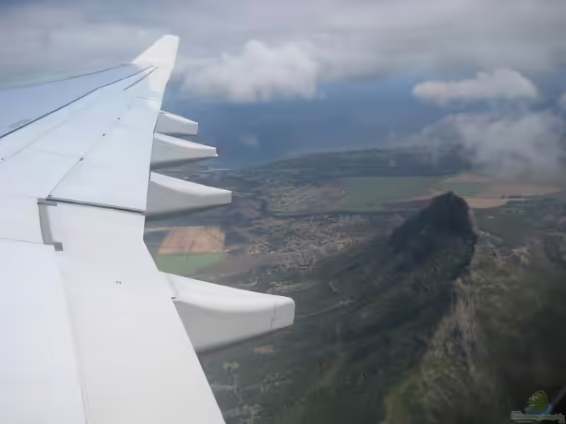 Der Inselstaat Mauritius (Einrichtungsbeispiele mit Tieren von Mauritius)