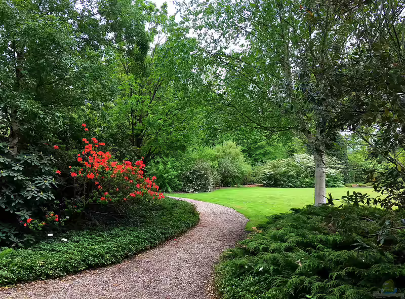Der Ziergarten (Einrichtungsbeispiele für Ziergärten)