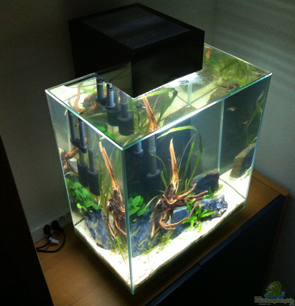 Aquarium von flightsim: Nano Fluval Edge II