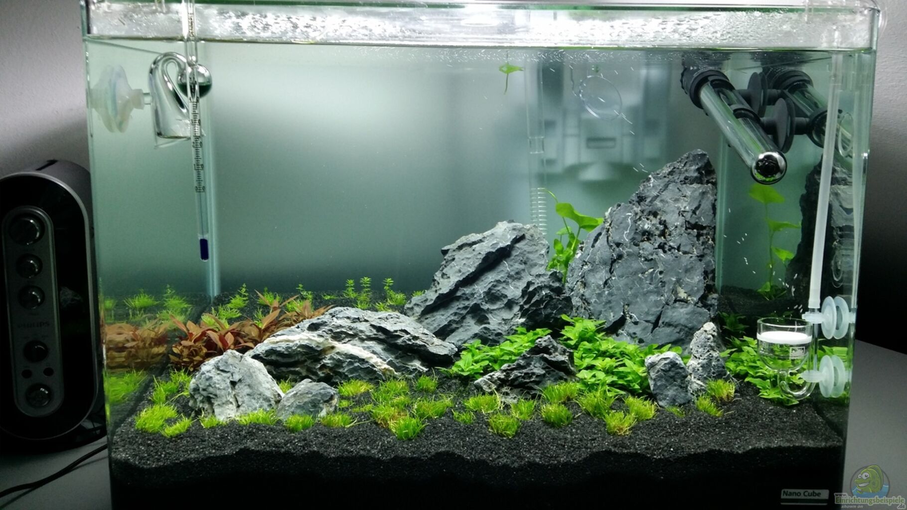 Dennerle - Fish Net - small  Aquasabi - Aquascaping Shop