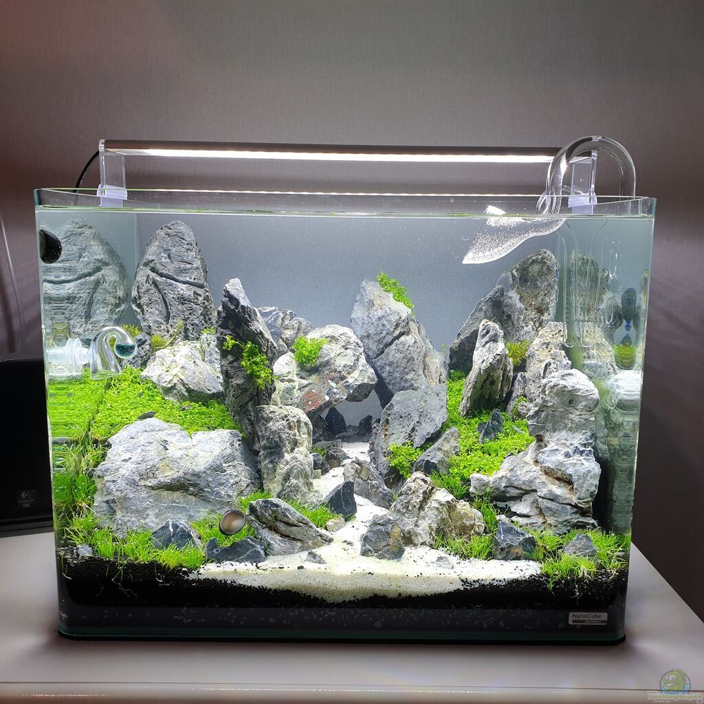 8100 Contoh Hardscape Aquarium HD Terbaik