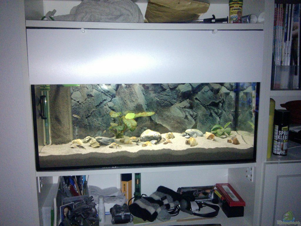 Aquarium von Talorin: IKEA Billy Regal Aquarium