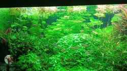 Video Mein neuer Besatz von odin 68 (ooGgyvg5Jc8)